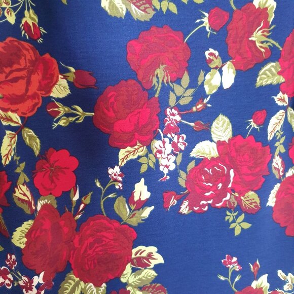 LuLaRoe Randy M Women Floral Rose Striped Raglan Sleeve Top Blouse Casual Blue - Picture 2 of 8